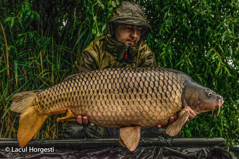 Cristian Andrei - 17,4kg.jpg