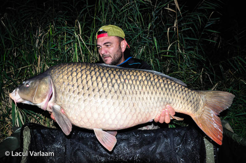 Cosmin Dumitru - 20,8kg, stand A9.jpg