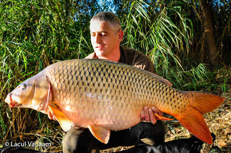 Dumitru Tudosoiu - 20,2kg, stand A6.jpg