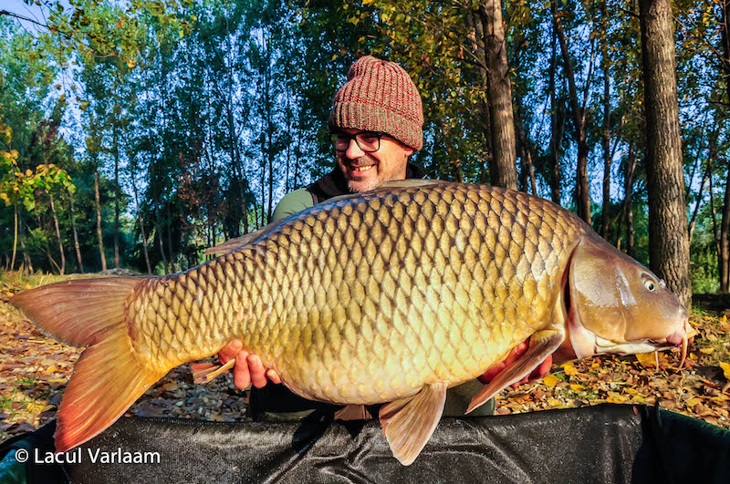 Pierre Estrade - 21,6kg, stand A6.jpg