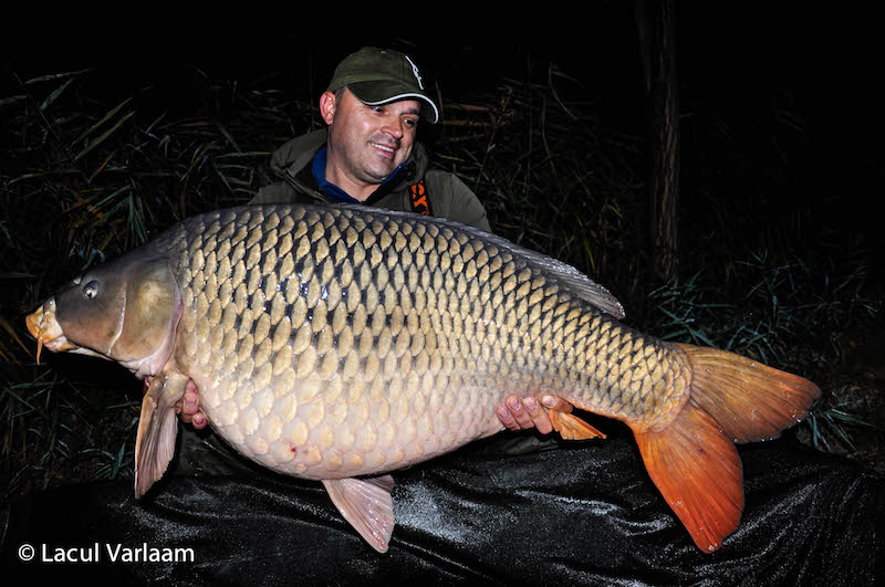 Lucian Timandi- 22,2kg, stand B8.jpg