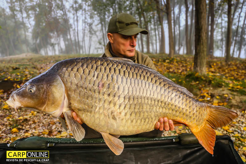 Vlad Pavlovici - 20,3kg, stand A6.jpg