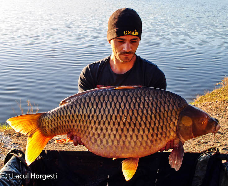 Lucian Radulescu - 18,9kg.jpg