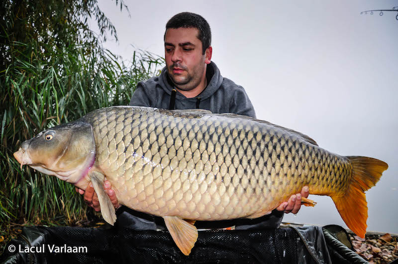 Adrian Popovici - 20kg, stand A9.jpg