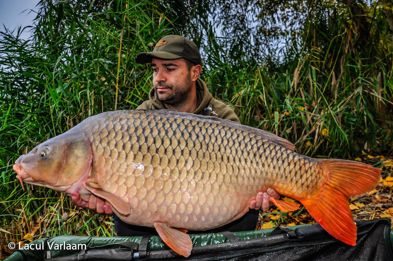 Marius Colan - 20,4kg, stand A6.jpg