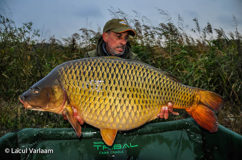 Vitalii Bujilov - 20kg, stand B13.jpg