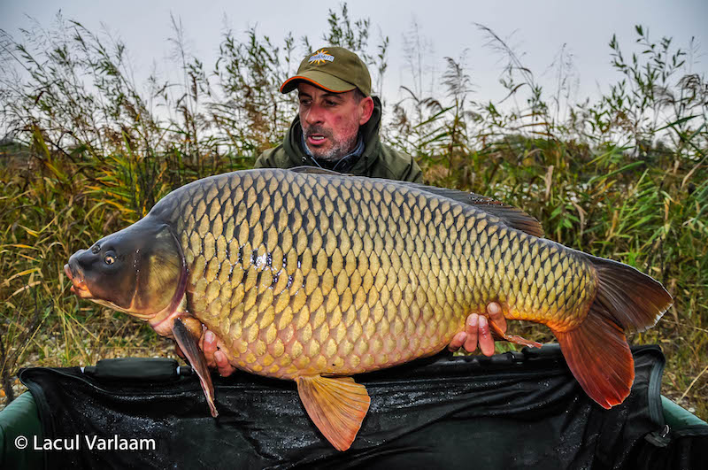 Vitalii Bujilov - 21,3kg, stand B13.jpg