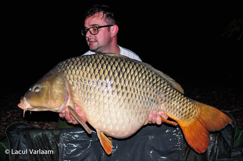 Cristian Mitrea - 20,3kg, stand B8.jpg