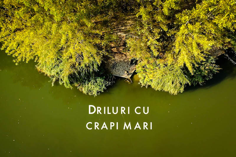 Driluri cu crapi mari.jpg