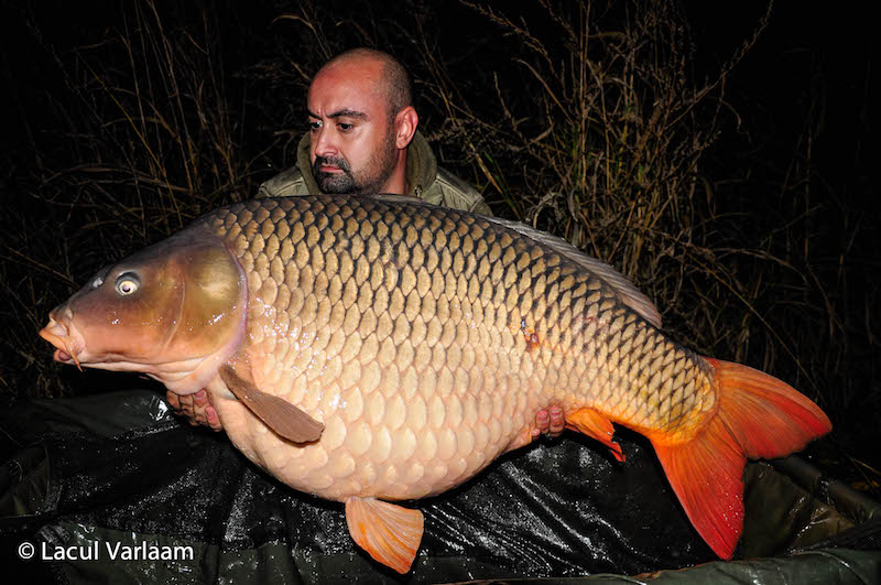 Marius Iosif - 26,6kg, stand B13.jpg