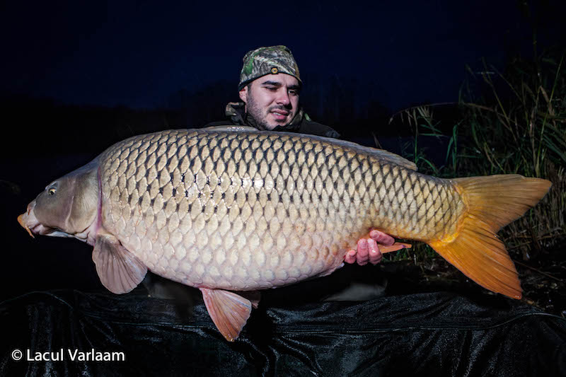 Abdo Taljbene - 20kg, stand A6.jpg