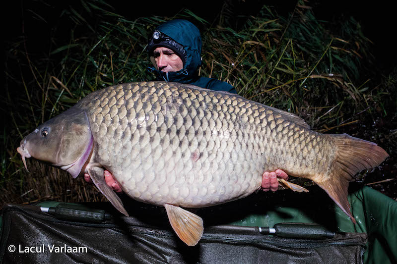 Andrei Colotelo - 20,8kg, stand A9.jpg