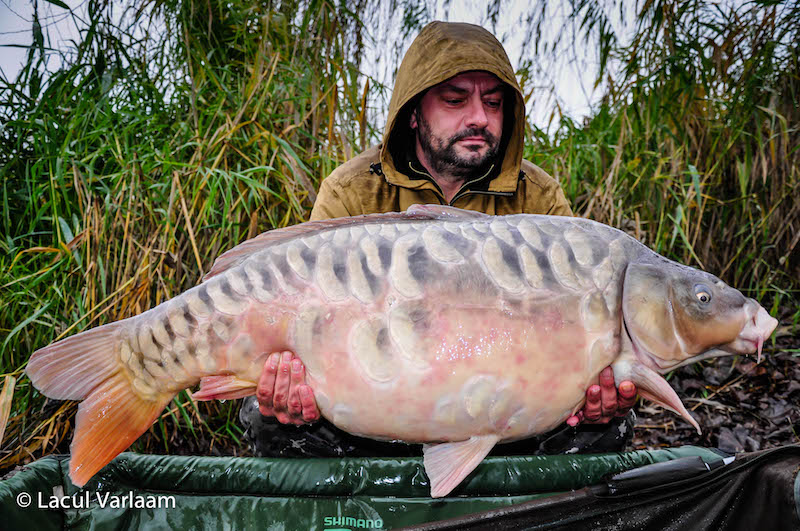 Adrian Soare - 21,8kg, stand A7.jpg