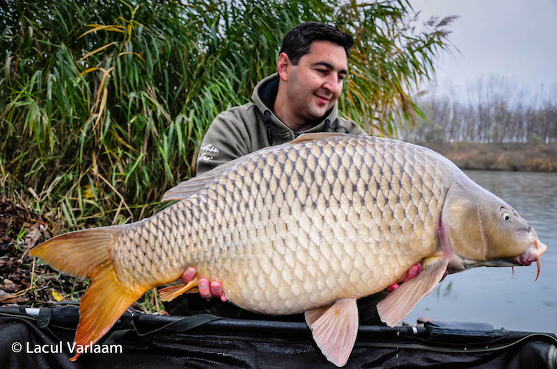 Cristian Andrei - 22,9kg, stand A4.jpg