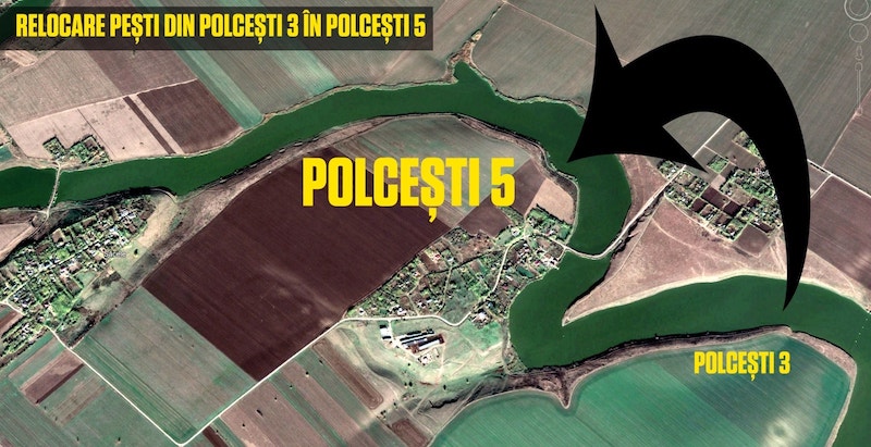 Polcesti 5.jpg