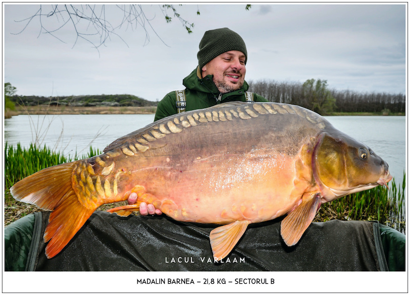 Madalin Barnea - 21,8kg, Sectorul B.jpg