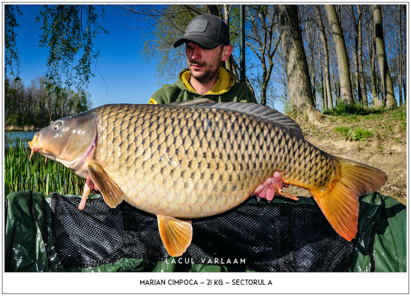 Marian Cimpoca - 21kg, Sectorul A.jpg