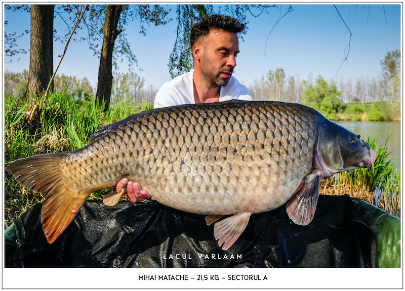 Mihai Matache - 21,5kg, Sectorul A.jpg