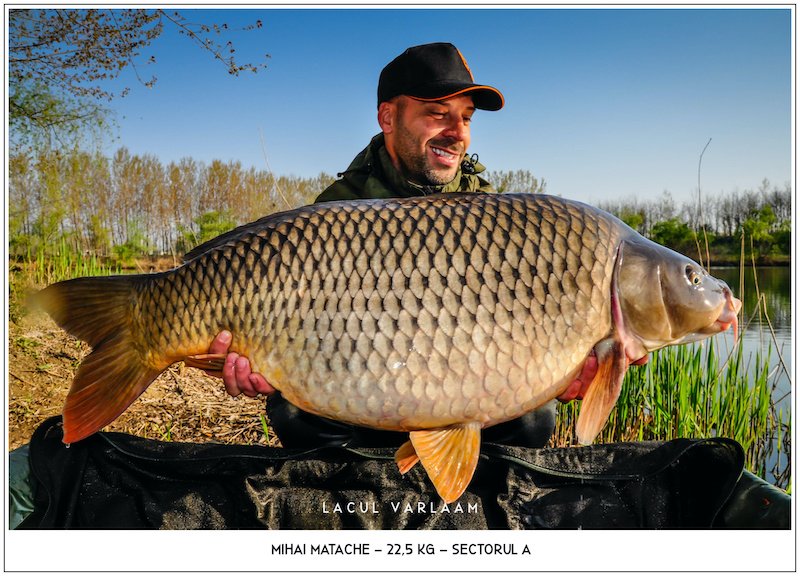 Mihai Matache - 22,5kg, Sectorul A.jpg