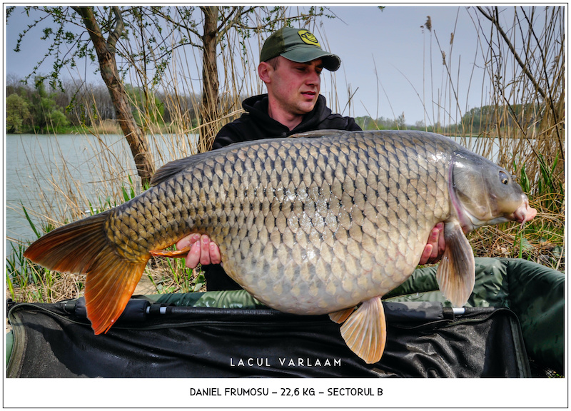 Daniel Frumosu - 22,6kg, Sectorul B.jpg