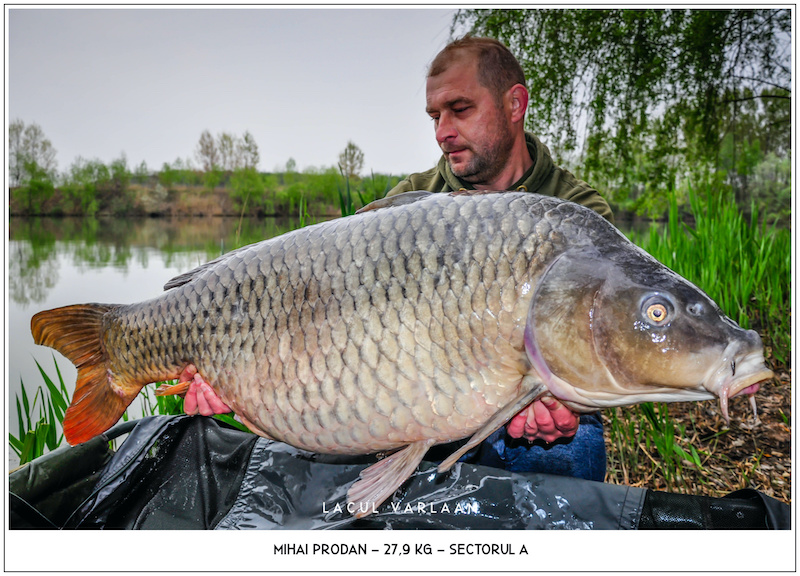 Mihai Prodan - 27,7kg, Sectorul A.jpg