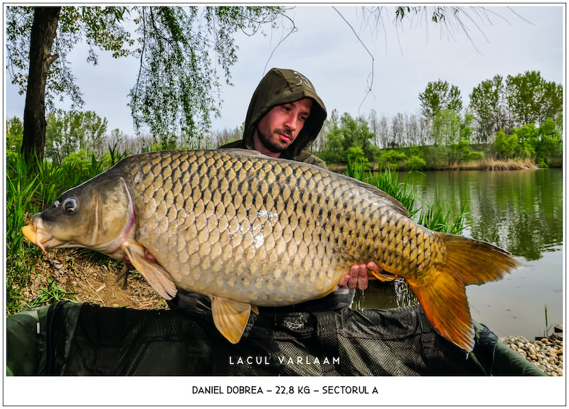 Daniel Dobrea - 22,8kg, Sectorul A.jpg