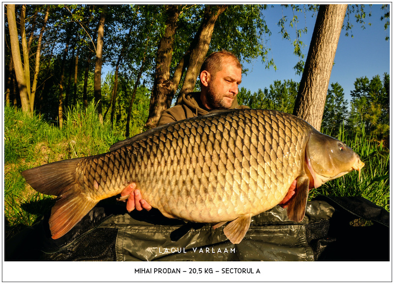 Mihai Prodan - 20,5kg, Sectorul A.jpg