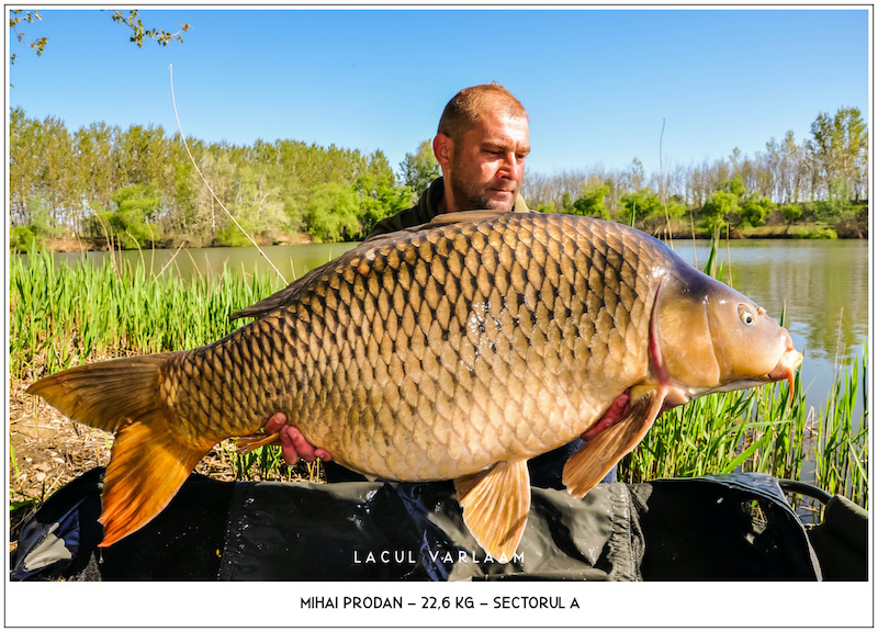 Mihai Prodan - 22,6kg, Sectorul A.jpg