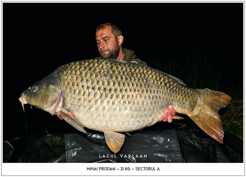 Mihai Prodan - 21kg, Sectorul A.jpg