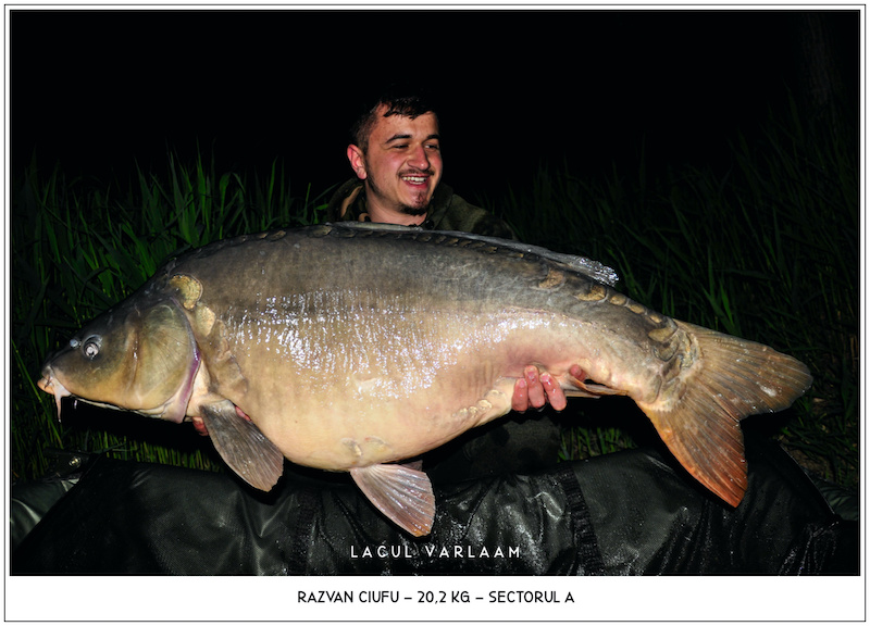 Razvan Ciufu - 20,2kg, Sectorul A.jpg