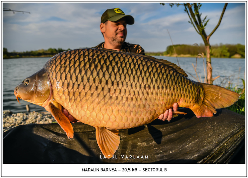 Madalin Barnea - 20,5kg, Sectorul B.jpg