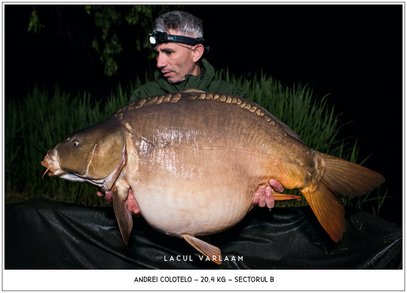 Andrei Colotelo - 20,4kg, Sectorul B.jpg