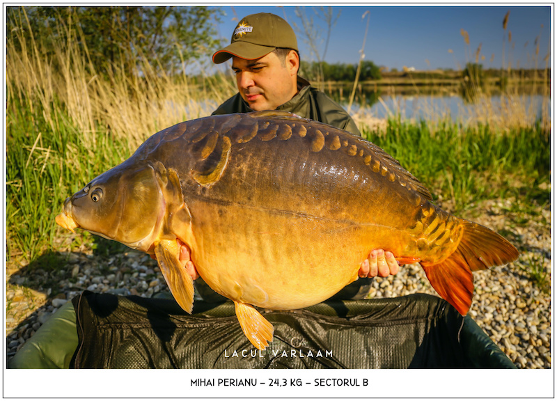 Mihai Perianu - 24,3kg, Sectorul B.jpg