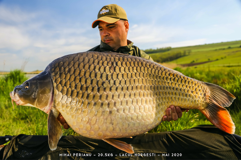 Mihai Perianu - 20,5kg.jpg