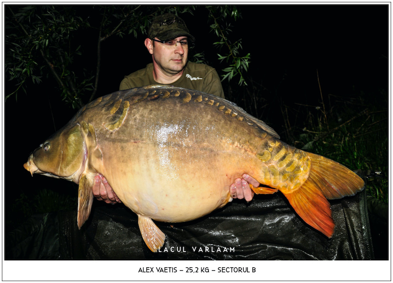 Alex Vaetis - 25,2kg, Sectorul B.jpg