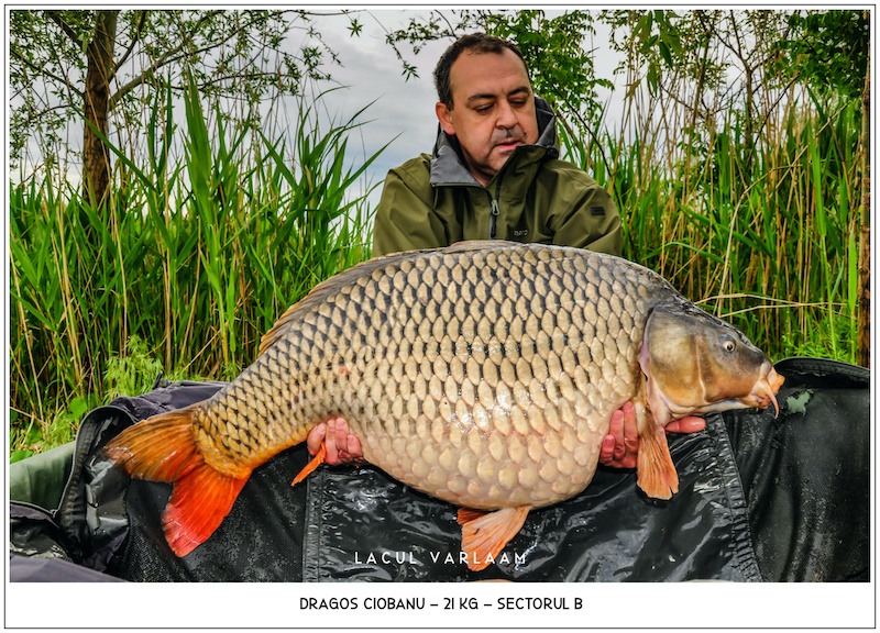 Dragos Ciobanu - 21kg, Sectorul B.jpg