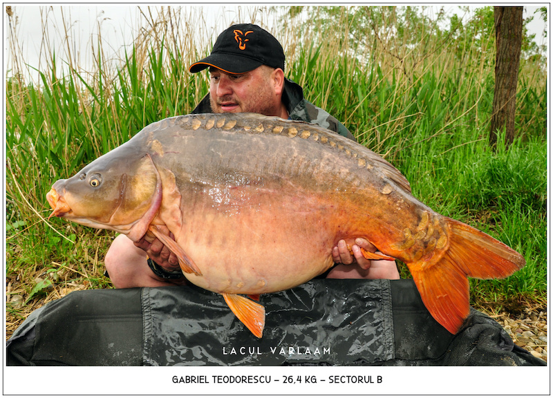 Gabriel Teodorescu - 26,4kg, Sectorul B.jpg