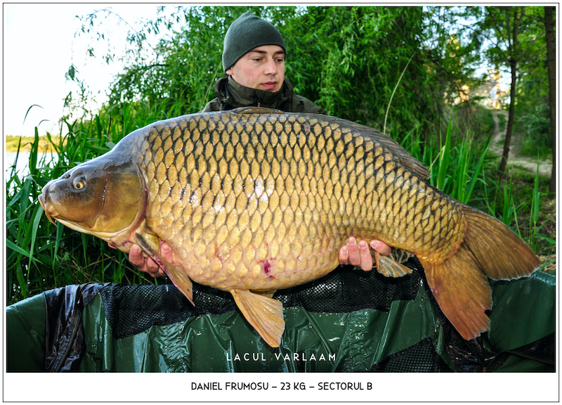 Daniel Frumosu - 23kg, Sectorul B.jpg