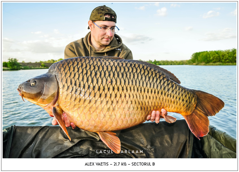 Alex Vaetis - 21,7kg, Sectorul B.jpg