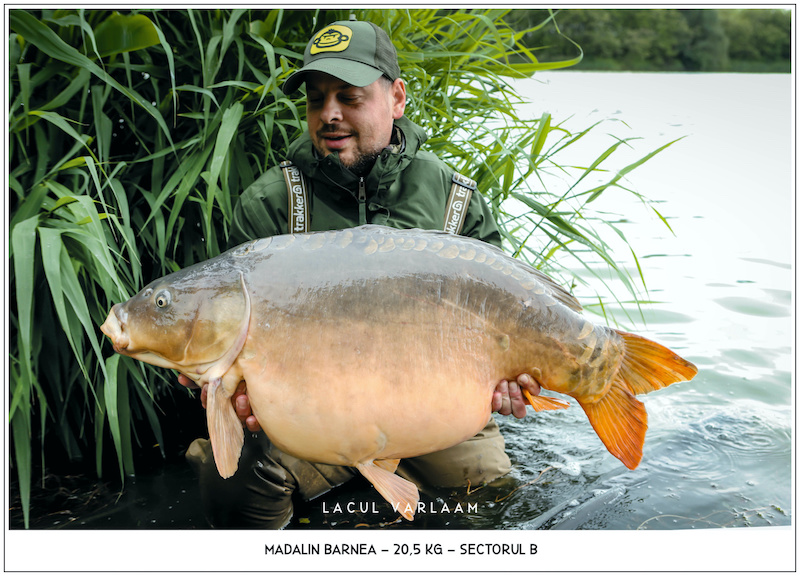 Madalin Barnea - 20,5kg, Sectorul B.jpg