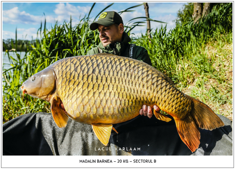 Madalin Barnea - 20kg, Sectorul B.jpg