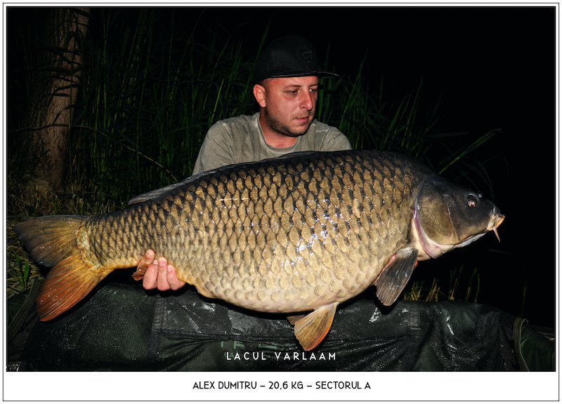 Alex Dumitru - 20,6kg, Sectorul A.jpg