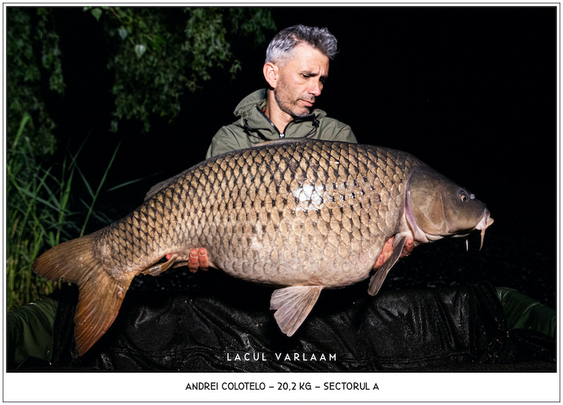 Andrei Colotelo - 20,2kg, Sectorul A.jpg