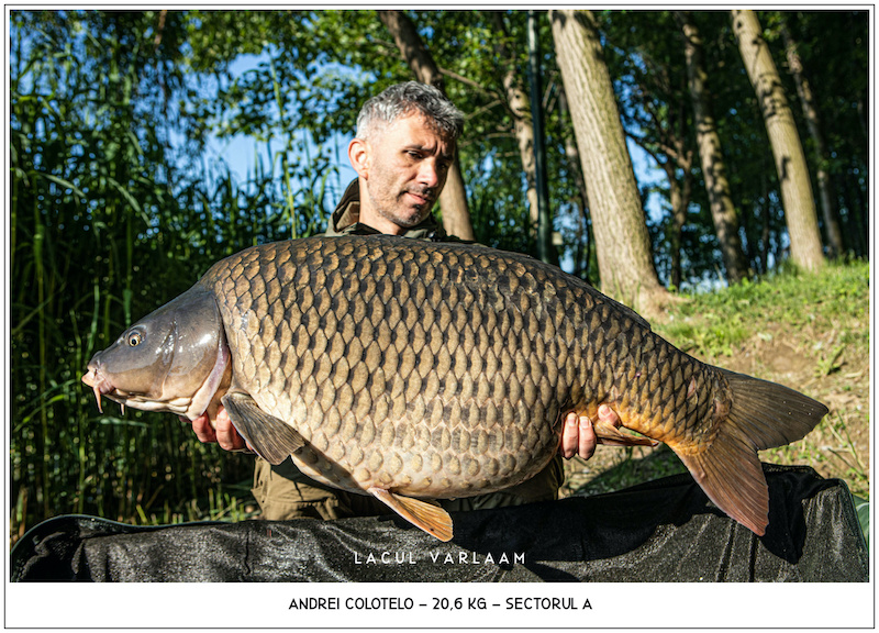 Andrei Colotelo - 20,6kg, Sectorul A.jpg