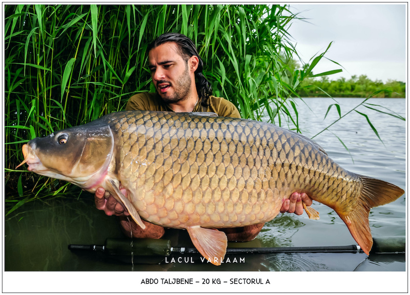 Abdo Taljbene - 20kg, Sectorul A.jpg