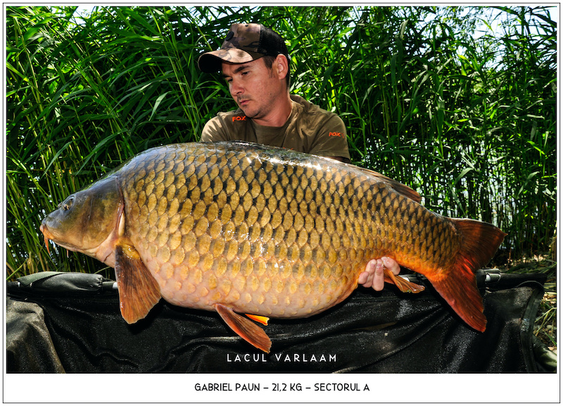 Gabriel Paun - 21,2kg, Sectorul A.jpg