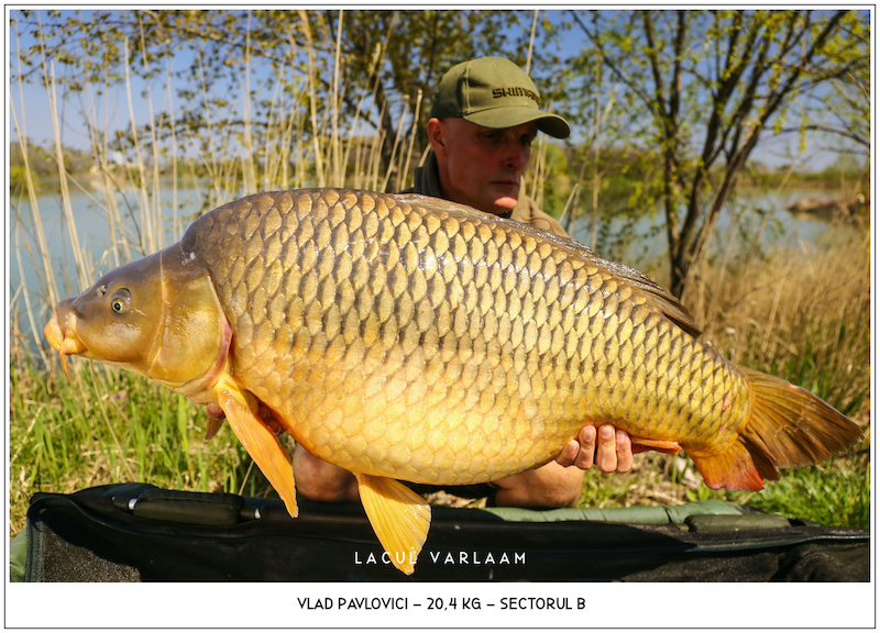 Vlad Pavlovici - 20,4kg, Sectorul B.jpg