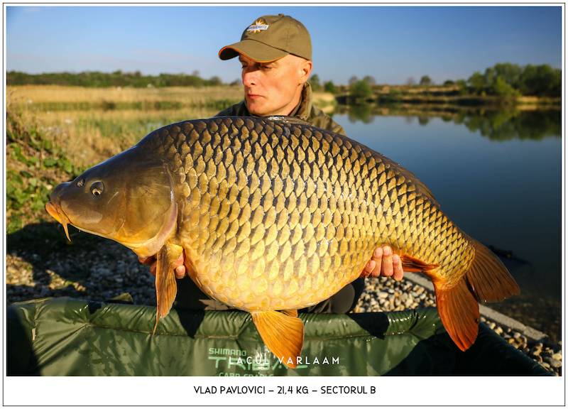 Vlad Pavlovici - 21,4kg, Sectorul B.jpg