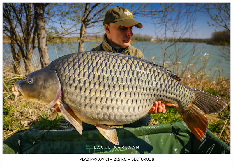 Vlad Pavlovici - 21,5kg, Sectorul B.jpg