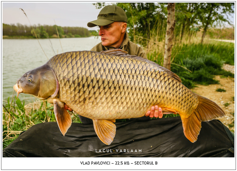 Vlad Pavlovici - 22,5kg, Sectorul B.jpg